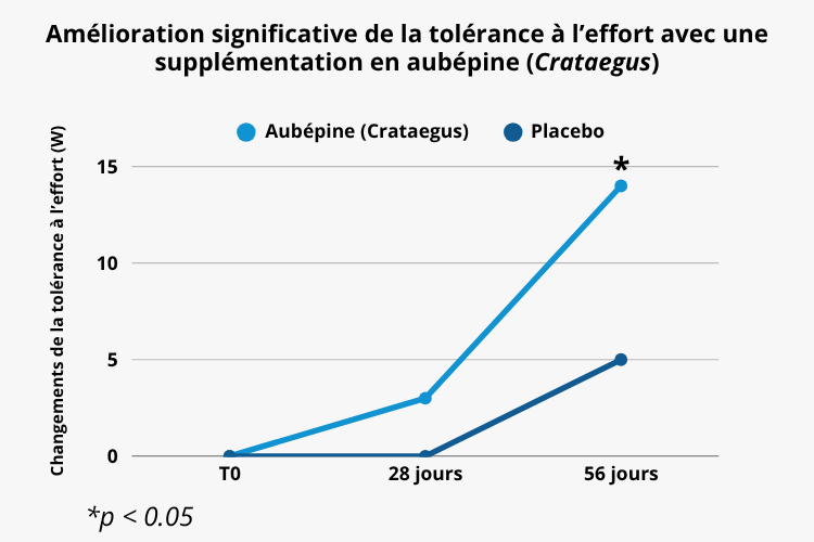 Bienfaits de l'aubepine